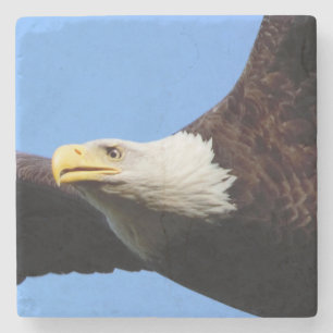 Bald Eagle Blue Sky Stone Coaster