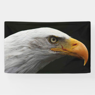 Bald Eagle bnrcnm Banner