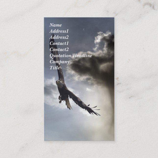 Bald Eagle Business Card (Front)