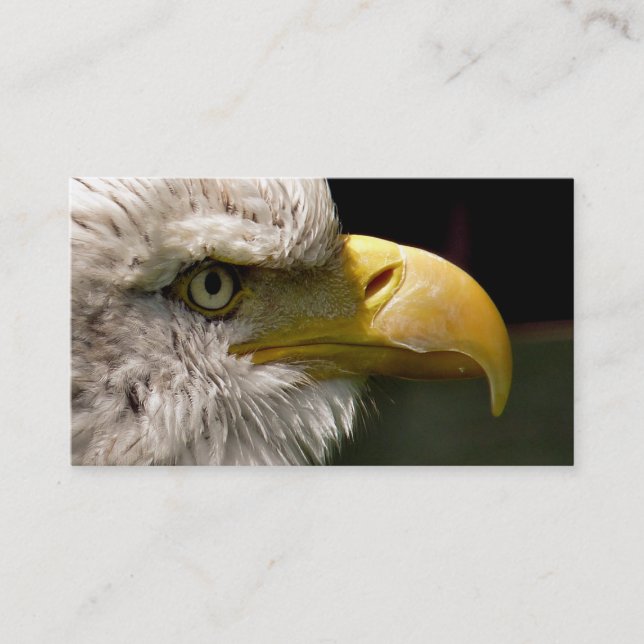 BALD EAGLE BUSINESS CARD (Front)