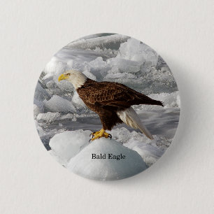 Bald eagle button