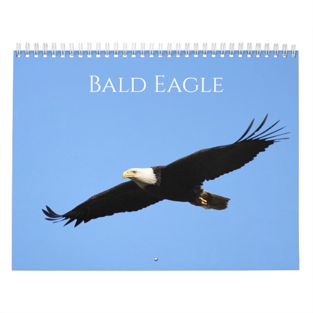 Bald Eagle  Calendar (Cover)