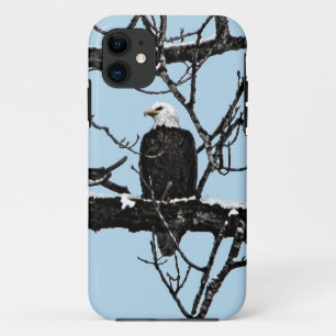 Bald Eagle iPhone 11 Case