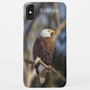 Bald Eagle iPhone XS Max Case