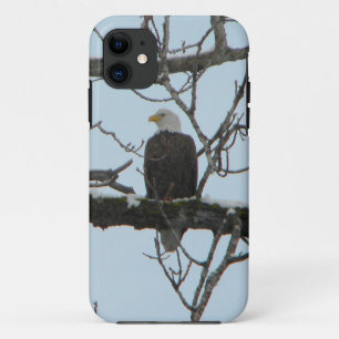 Bald Eagle iPhone 11 Case