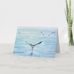 Bald Eagle Catching Salmon All Occasion Blank Holiday Card