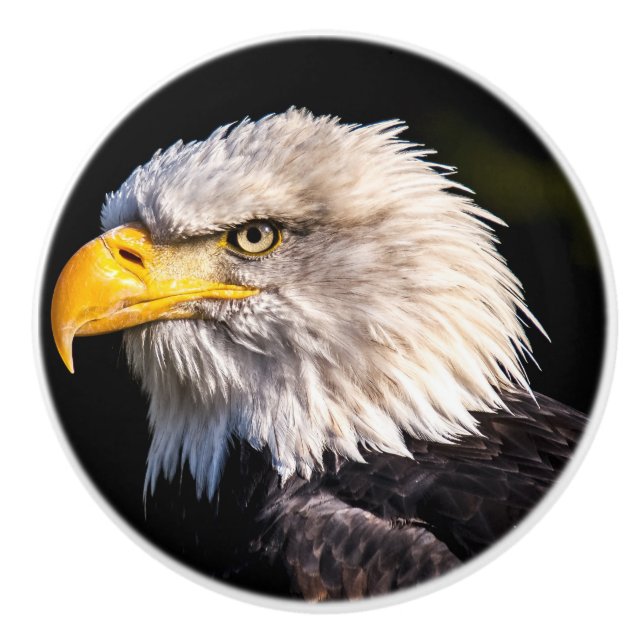 Bald Eagle Ceramic Knob (Front)