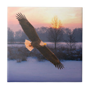 BALD EAGLE CERAMIC TILE