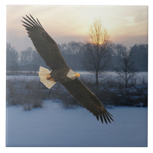 BALD EAGLE CERAMIC TILE (Front)