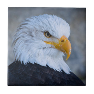 BALD EAGLE CERAMIC TILE