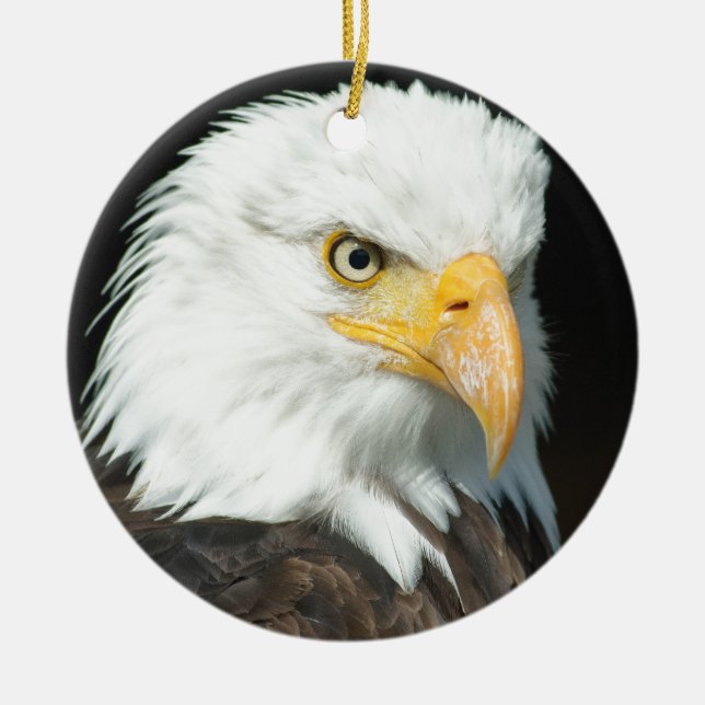 Bald Eagle Ceramic Tree Decoration (Front)
