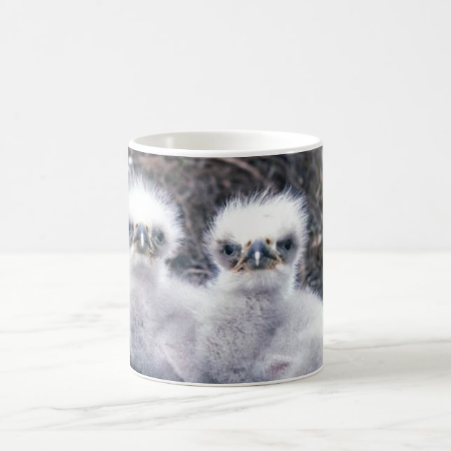 Bald Eagle Chicks Coffee Mug (Center)