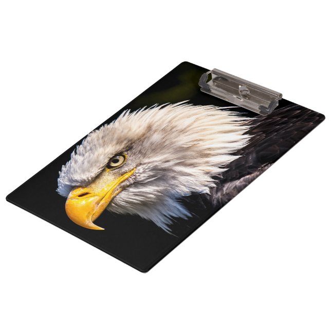 Bald Eagle Clipboard (Angled)