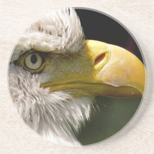 BALD EAGLE COASTER