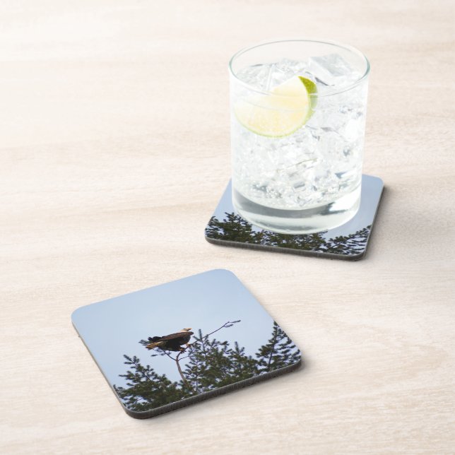 Bald Eagle Coaster (Right Side)