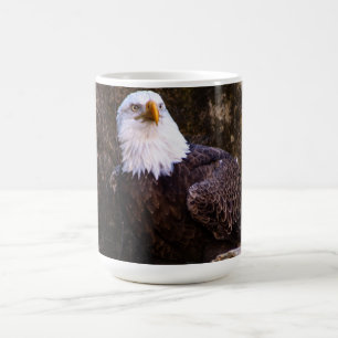 Bald Eagle Coffee Mug
