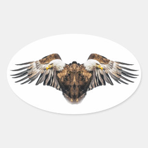 Bald Eagle Creature Oval Sticker