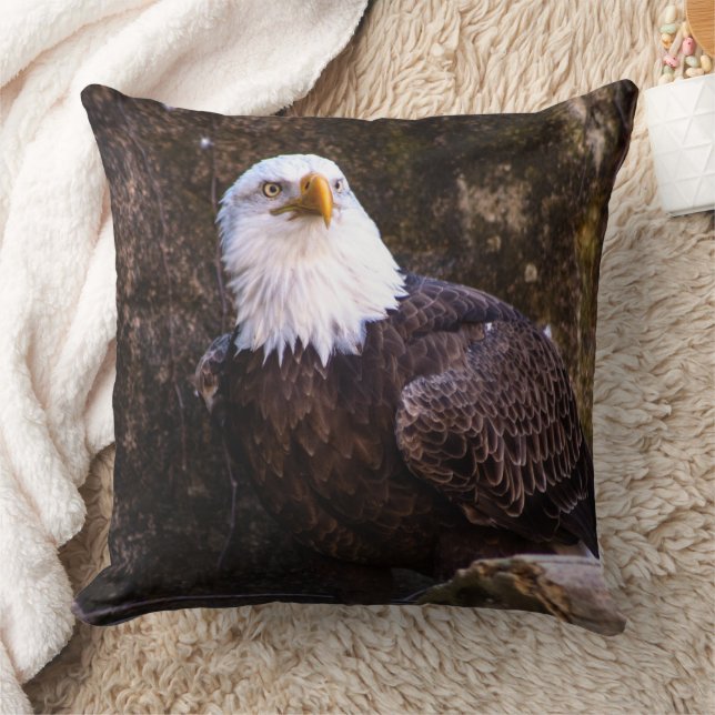 Bald Eagle Cushion (Blanket)