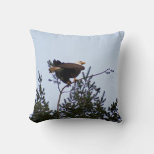 Bald Eagle Cushion