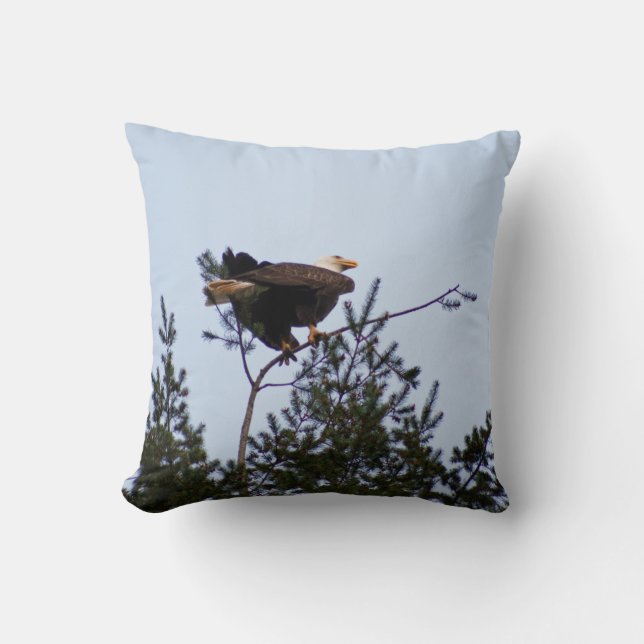 Bald Eagle Cushion (Front)