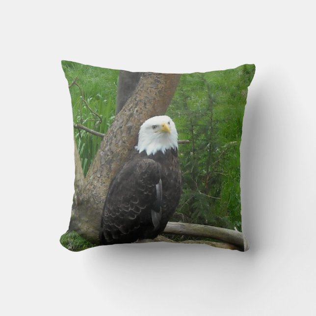 Bald Eagle Cushion (Front)