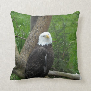 Bald Eagle Cushion