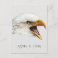 Bald Eagle Dignity & Glory customisable