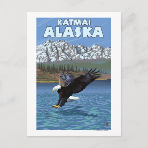 Bald Eagle Diving - Katmai, Alaska Postcard