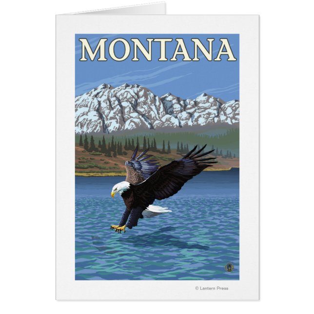 Bald Eagle Diving - Montana (Front)