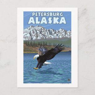 Bald Eagle Diving - Petersburg, Alaska Postcard