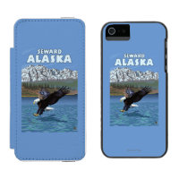 Bald Eagle Diving - Seward, Alaska