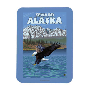 Bald Eagle Diving - Seward, Alaska Magnet