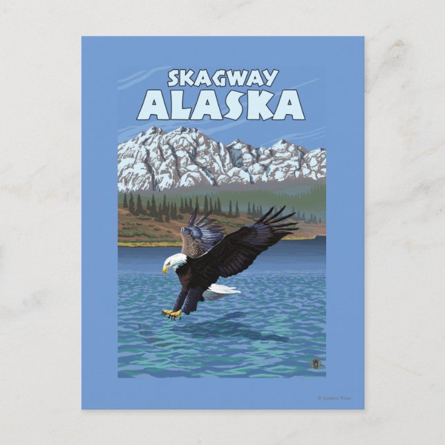 Bald Eagle Diving - Skagway, Alaska Postcard (Front)