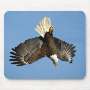 Bald Eagle diving towards the water Mouse Pad