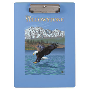 Bald Eagle Diving - West Yellowstone, MT Clipboard