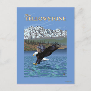Bald Eagle Diving - West Yellowstone, MT Postcard