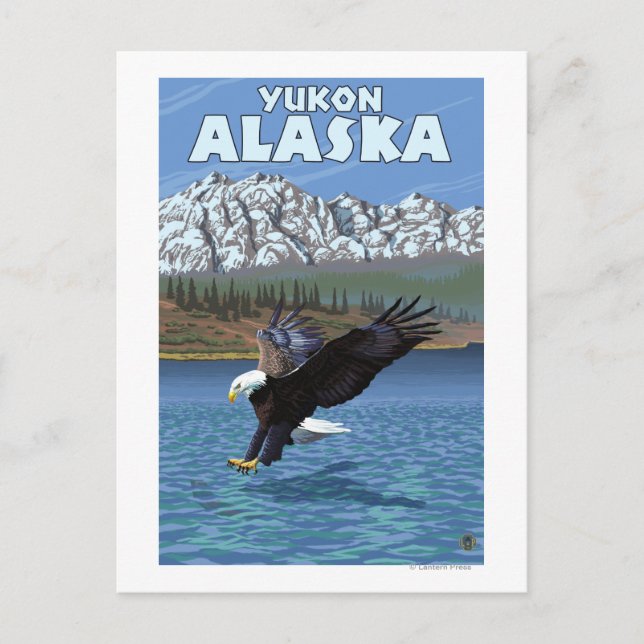 Bald Eagle Diving - Yukon, Alaska Postcard (Front)