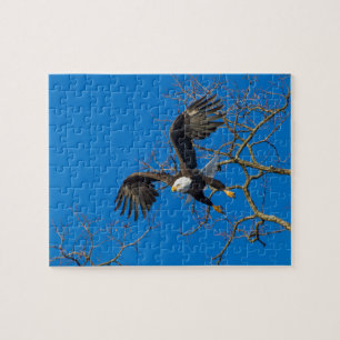 Bald Eagle Drop Jigsaw Puzzle