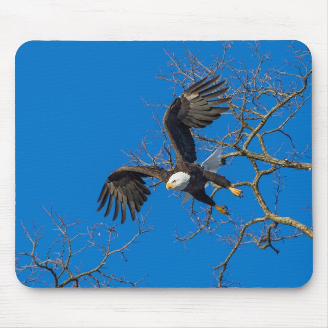 Bald Eagle Drop Mouse Pad (Front)