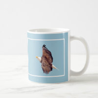 Bald Eagle Eyes To the Sky Light Blue