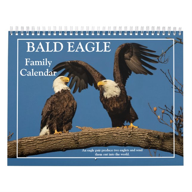 Bald Eagle Family Calendar (Cover)