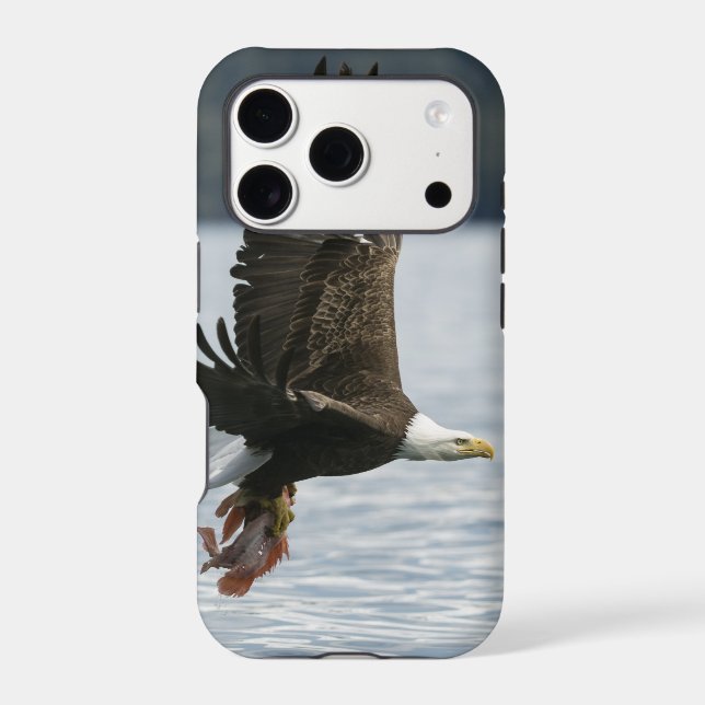 Bald Eagle Fish Retrieval (Back)