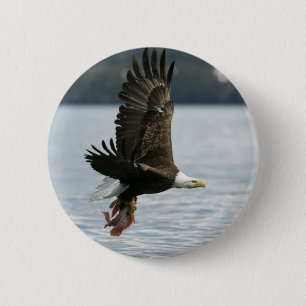 Bald Eagle Fish Retrieval 6 Cm Round Badge