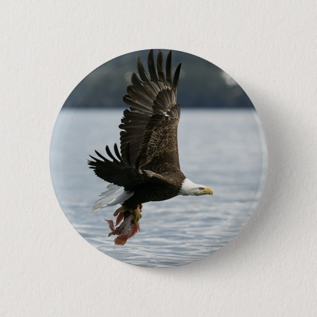 Bald Eagle Fish Retrieval 6 Cm Round Badge (Front)
