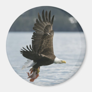 Bald Eagle Fish Retrieval Magnet