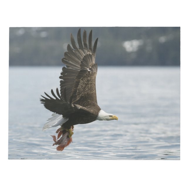 Bald Eagle Fish Retrieval Notepad (Front)