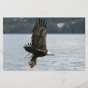 Bald Eagle Fish Retrieval Stationery