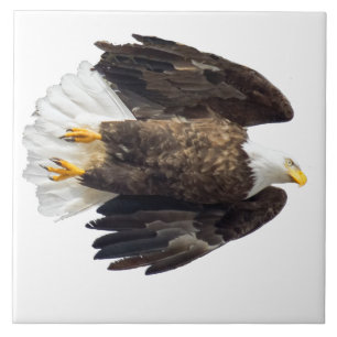 Bald Eagle Flash with white backround Ceramic Tile