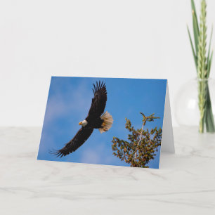Bald Eagle Flight  Thank You Card