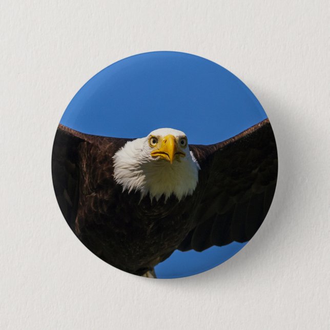 Bald Eagle Flyby Up Close 6 Cm Round Badge (Front)